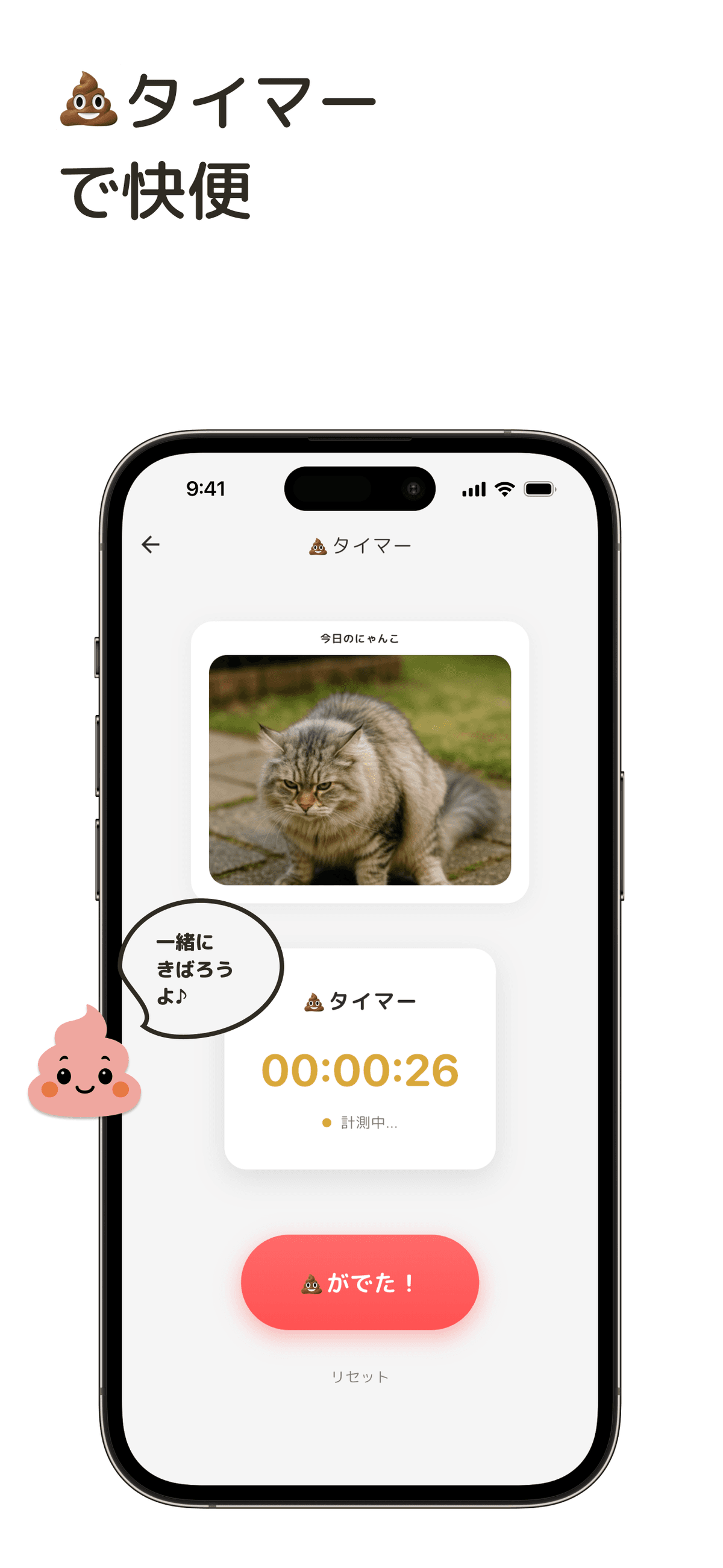 Description 4